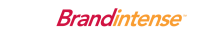 SSG/Brand Intense Marketing