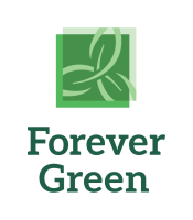 Forevergreen