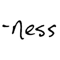 Ness holdings inc