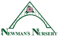 Newmans nursery inc