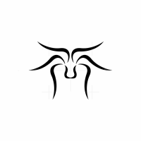 BlackSpider Technologies
