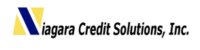 Niagara credit solutions, inc.