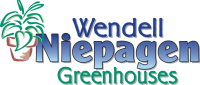 Wendell niepagen greenhouse