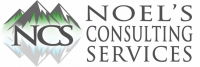 Noell consulting group