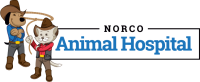 Norco animal hospital