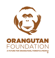Orangutan foundation international