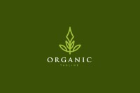 Organic style