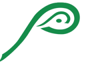 Parmer eye care