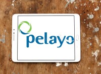 Pelayo mutua de seguros