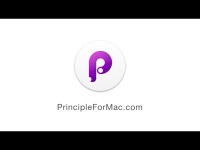 Principle gallery