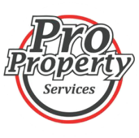 Pro property maintenance limited