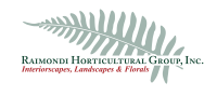 The raimondi group, inc.