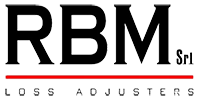 Rbm llp
