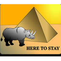 Rhino masonry inc