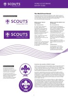 Scout 22