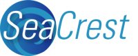 Seacrest consulting