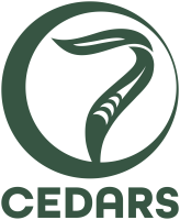 Seven cedars financial