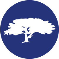 Shade tree auto