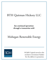 Bth quitman hickory llc