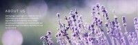 Sonoma lavender