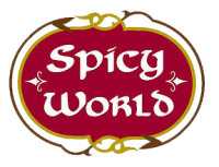 Spicy world of usa inc.