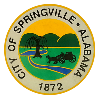 Springville police chief