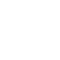 Supply chain insights