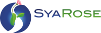 Syarose technology services inc