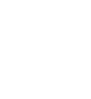 Td group s.p.a.