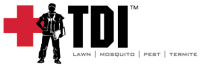 Tdi - services