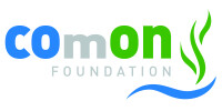 The common foundation