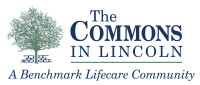 The commons in lincoln