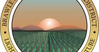 The desert review