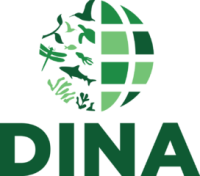 The dina collection