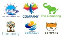 Our own company