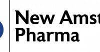 The new amsterdam group