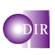 Decision Information Resources