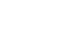 Thompson | dorfman partners, llc