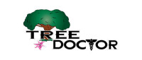 The tree doctor