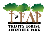 Trinity forest adventure park