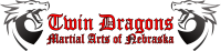 Twin dragons martial arts