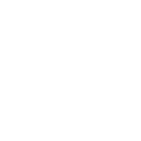 Usa intercargo llc