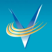 Veritas search consultants, inc.