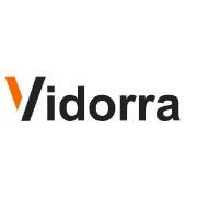 Vidorra consulting group