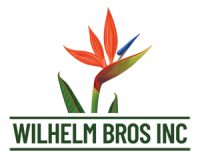 Wilhelm brothers inc