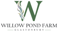 Willow pond at home