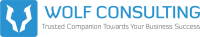 Wolf consulting, inc.