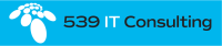 539 consulting