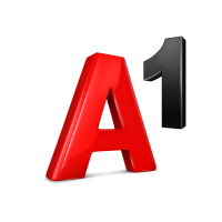 A1 international business