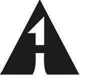 A1 passport and visa, llc